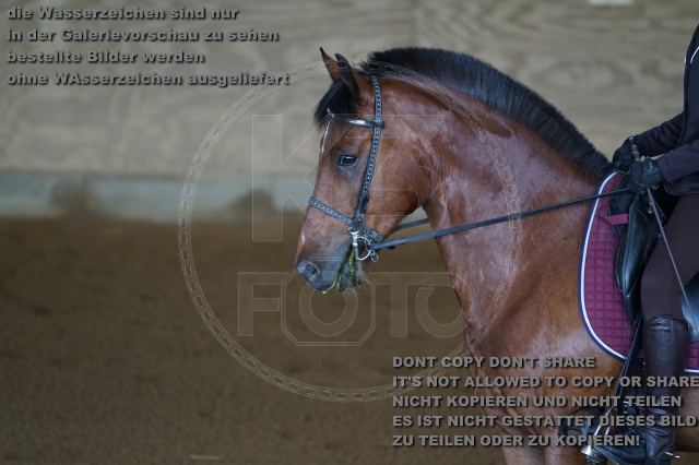 s_K3F03214.JPG